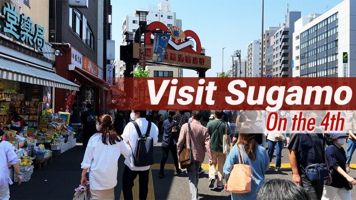 Full of downtown atmosphere! Take a stroll along Sugamo Jizo-dori Shopping Street