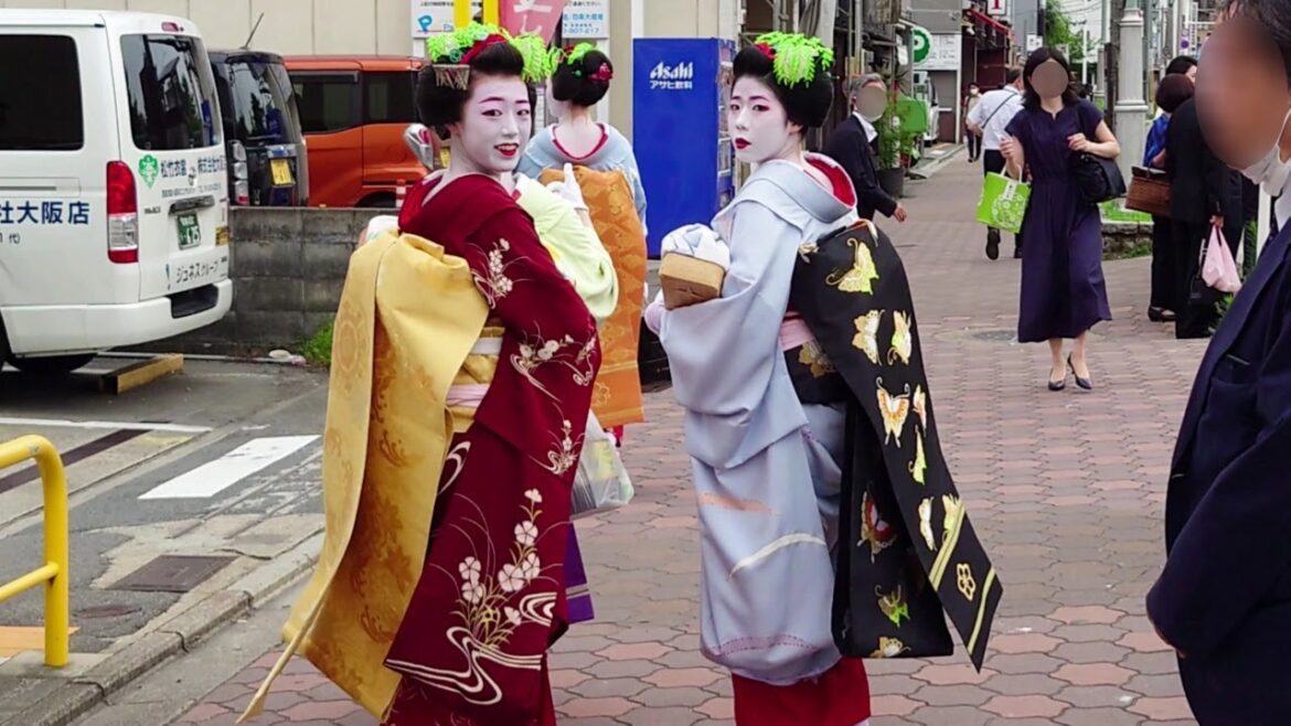 Geisha Walk Hanamikoji in Gion Kyoto | Japan Travel 京都祇園、花見小路を歩く舞妓さん | 美しい振袖、着物と帯