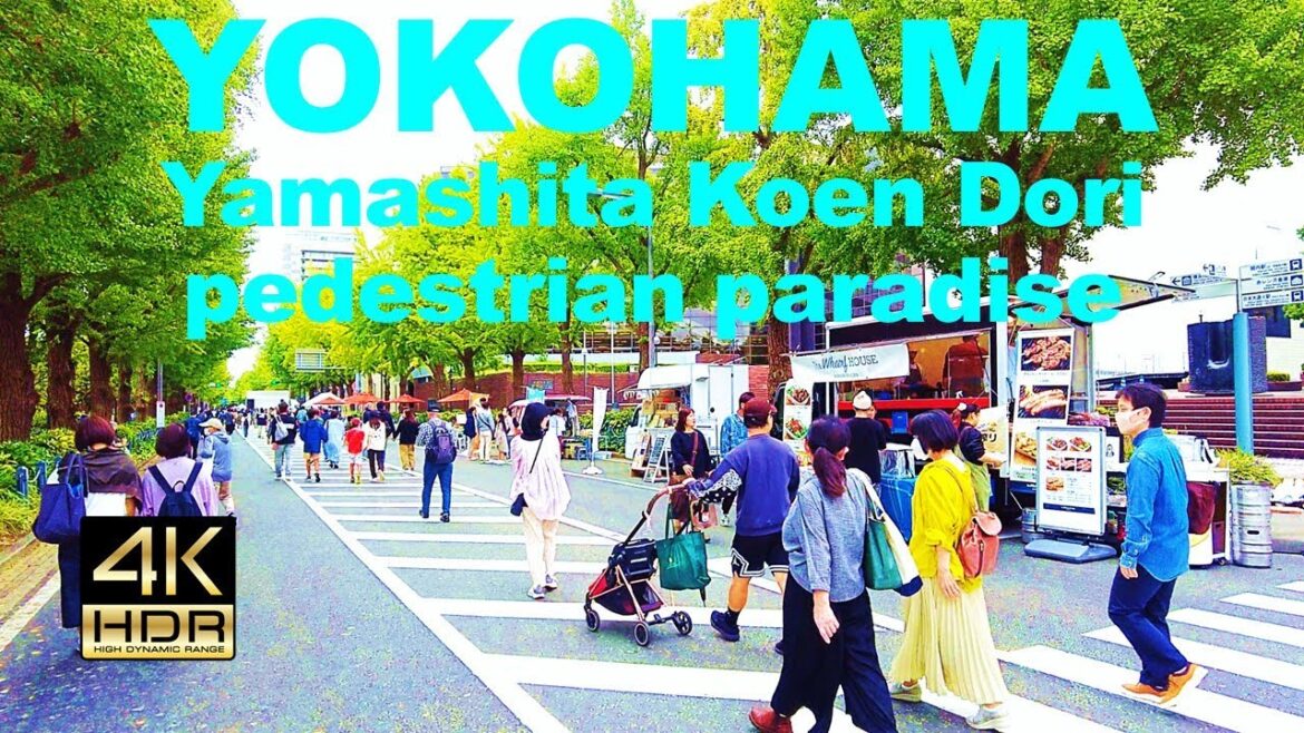 【4K HDR🇯🇵】First pedestrian paradise on Yamashita Koen Dori in Yokohama / World Festa Yokohama 2023