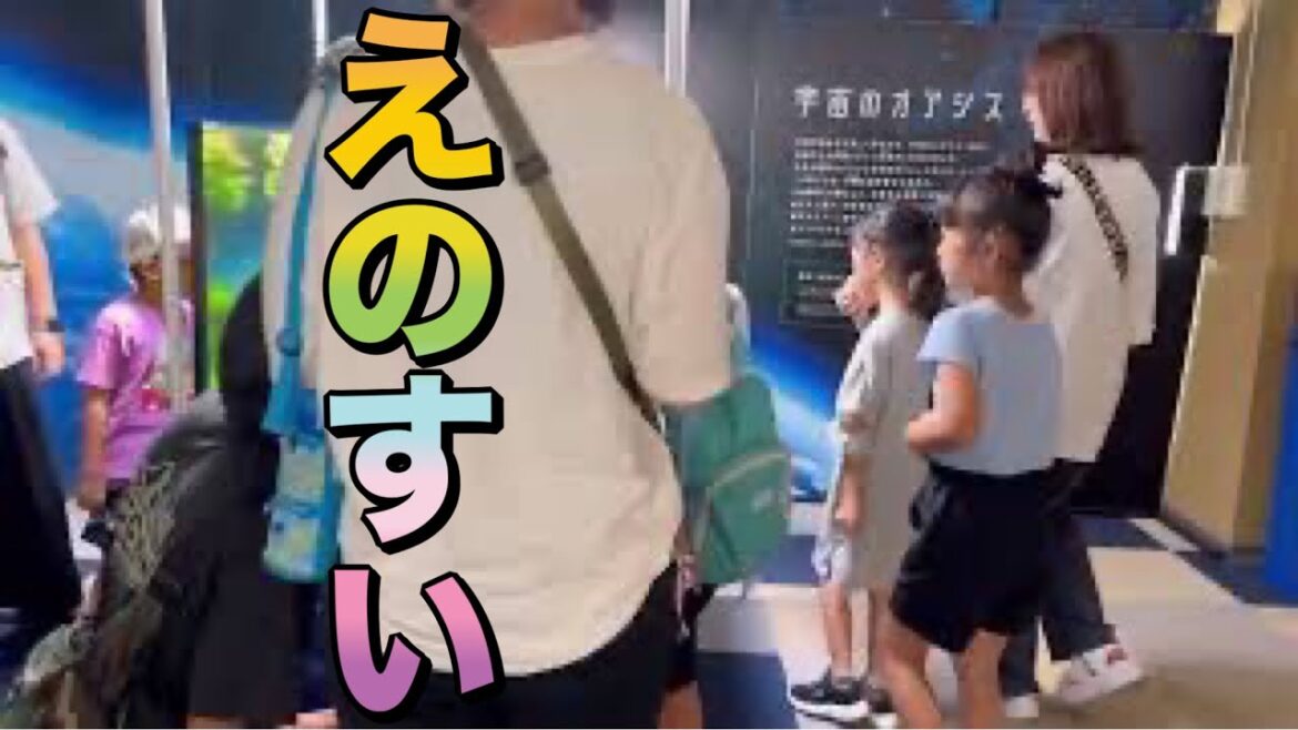 新江ノ島水族館 えのすい 湘南 ENOSHIMA AQUARIUM Japan 観光スポット 神奈川県 藤沢市