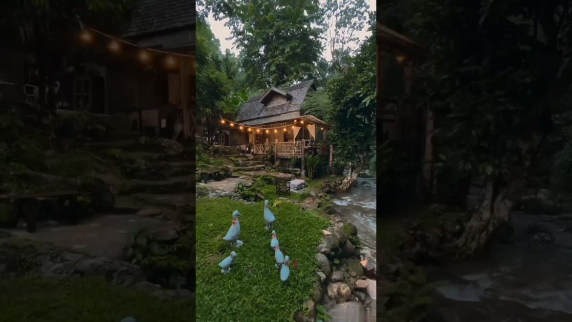 Norden Glamping Chiang Mai 🏨| Onsen Resort Thailand 🇹🇭 #thailand #chiangmai #shorts #viral Norden Glamping Chiang Mai 🏨| Onsen Resort Thailand 🇹🇭 #thailand #chiangmai #shorts #viral