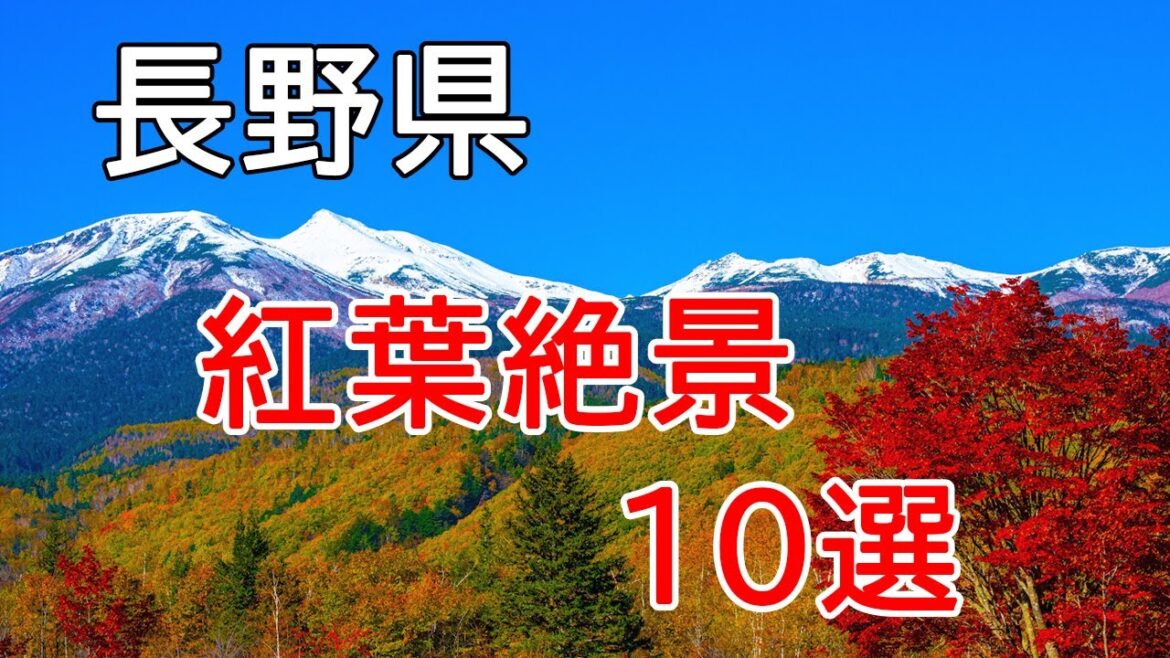 【4K 長野紅葉🍁ベスト10選】名所ランキングを紹介します