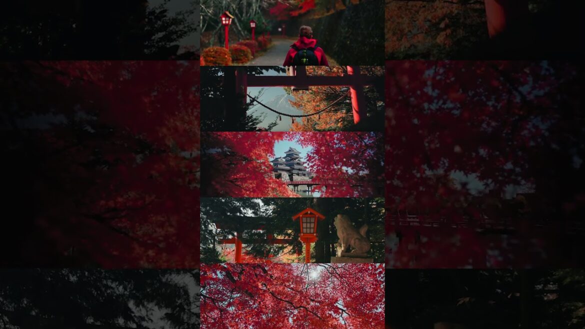 Japan will look like this SOON  #lovejapan #travel #fall #autumn #Fujiyoshida