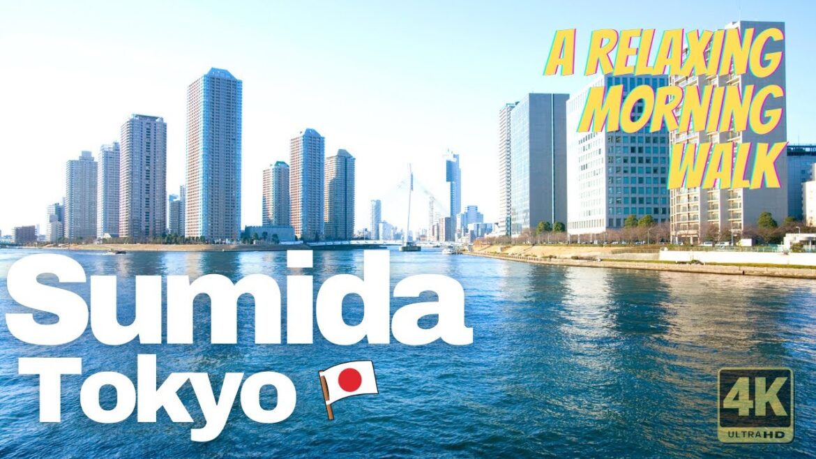 A walking tour - Sumida, Tokyo, Japan - City walks & sounds - traffic ambience