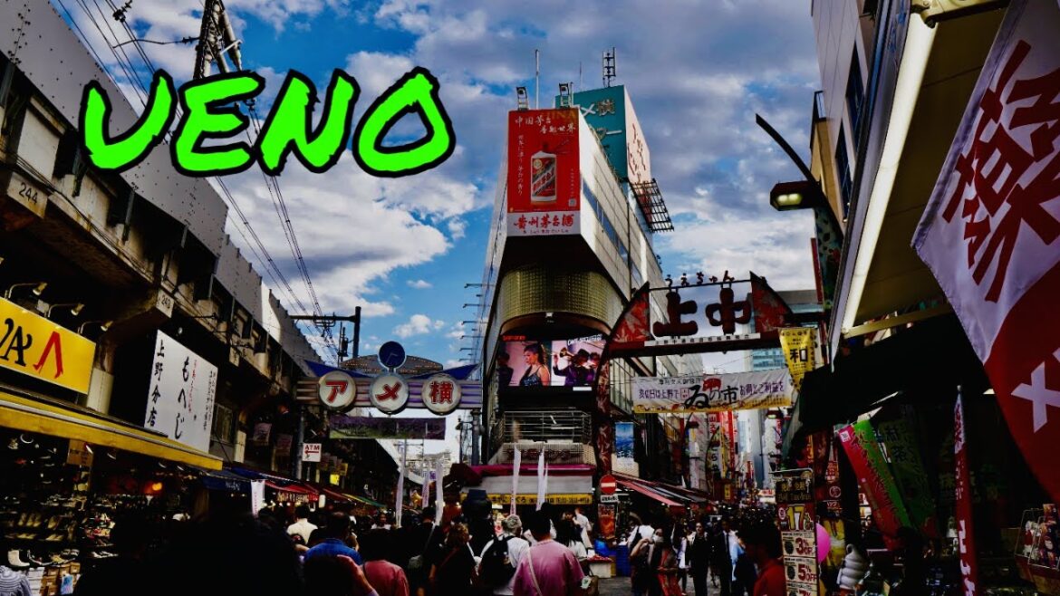 Ameyoko Shopping Street – Tokyo – Japan – @hashinofood – 10/6/2023 – 🇯🇵 Ameyoko Shopping Street - Tokyo - Japan - @hashinofood - 10/6/2023 - 🇯🇵