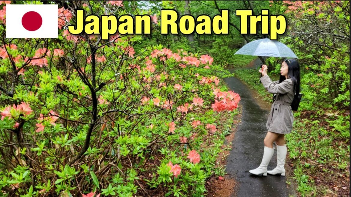 4K Japan 🇯🇵 Road trip Kusatsu to Fuji View Hotel