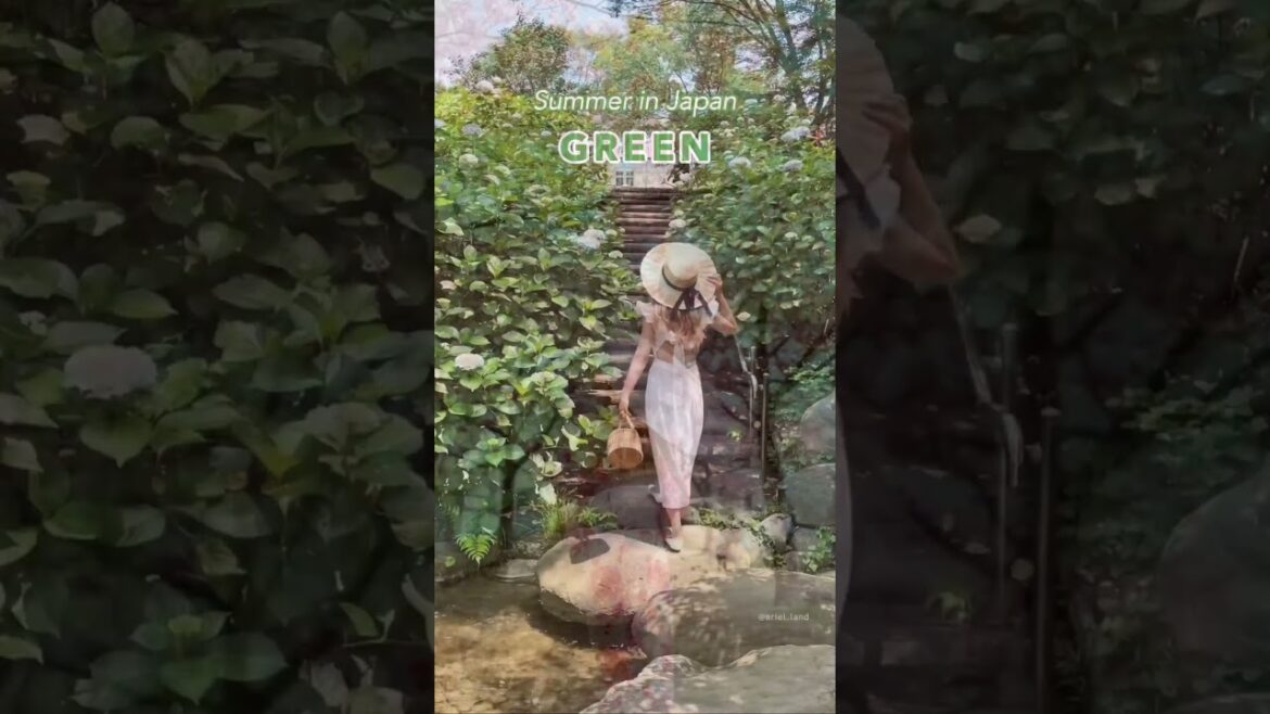 Seasons in Japan #japan #travel #shortvideo Seasons in Japan #japan #travel #shortvideo