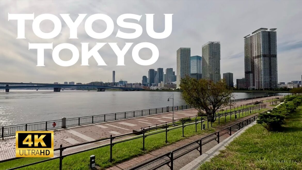 [4K] TOYOSU Bayside City in TOKYO 🇯🇵🐧 Nonstop Walking Tour / 豊洲 東京 散歩