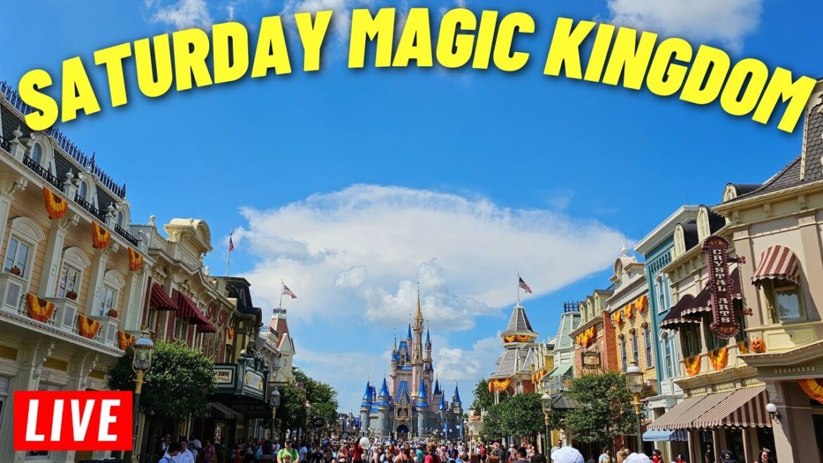 π΄ LIVE: Saturday afternoon at Magic Kingdom for rides, shows and the parade 10/7/23 π΄ LIVE: Saturday afternoon at Magic Kingdom for rides, shows and the parade 10/7/23