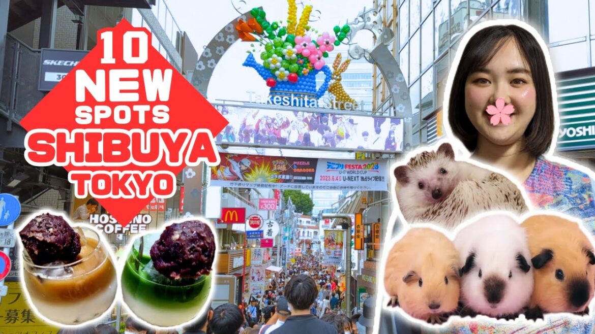 10 New Things to Do in Shibuya & Harajuku | Tokyo Travel Guide for 2023! Halloween is Coming Soon 10 New Things to Do in Shibuya & Harajuku | Tokyo Travel Guide for 2023! Halloween is Coming Soon