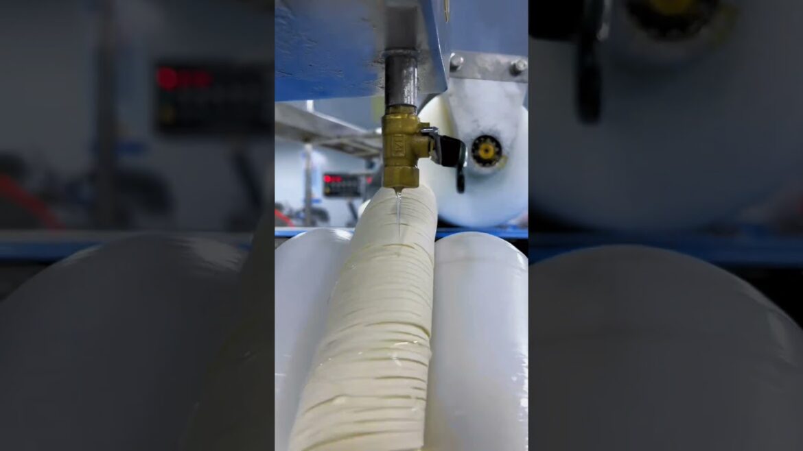 Asian street food 肉夹馍