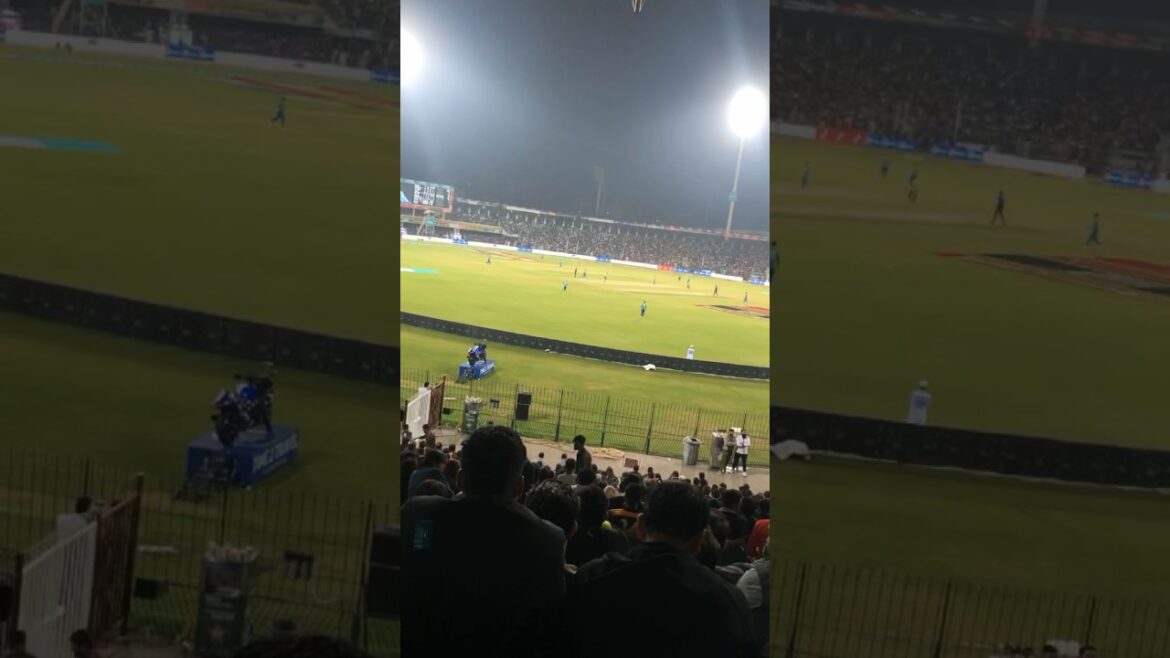 My Love for cricket 😍❤️ #indvsaus #india #worldcup #cricket #match #viratkohli #shorts #viral My Love for cricket 😍❤️ #indvsaus #india #worldcup #cricket #match #viratkohli #shorts #viral