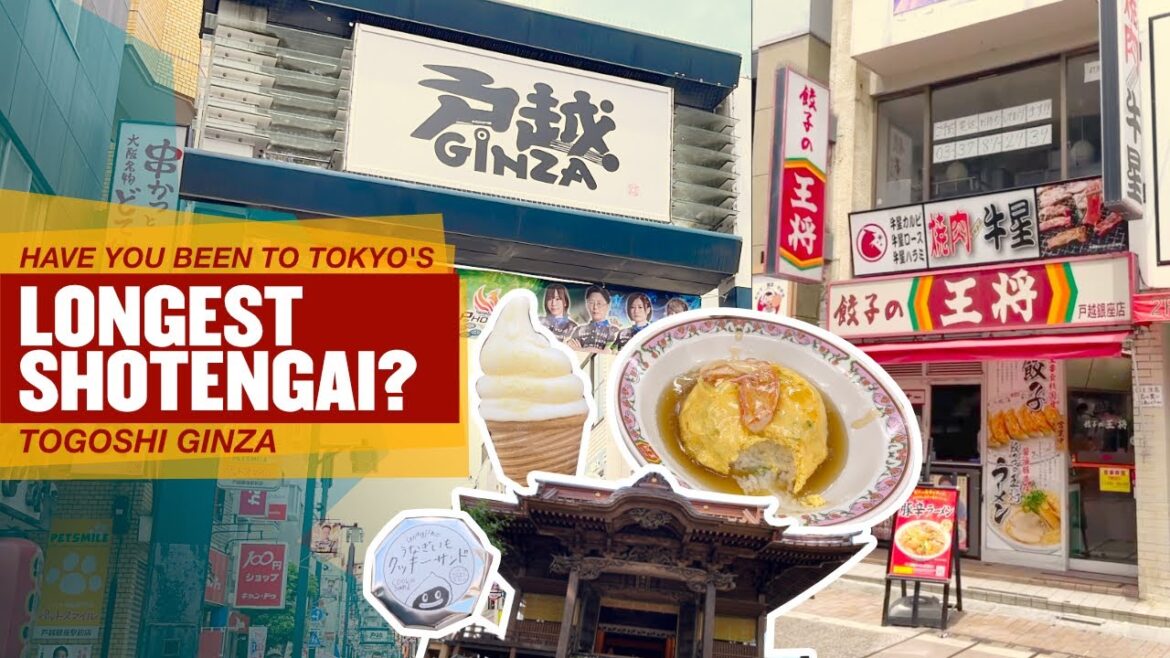 Summer in Tokyo ☀️ Longest Shotengai in Tokyo, Togoshi Ginza, Street foods, Hachiman Shrine