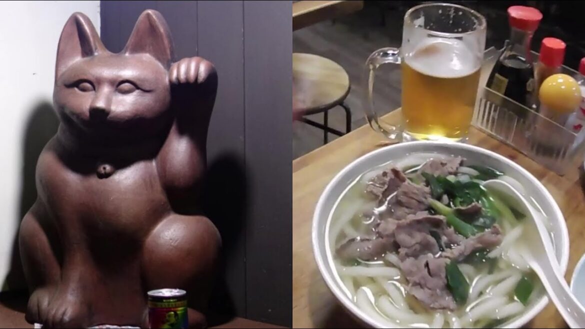 Jem udon w przydworcowej knajpie dla lokalsów (za kotem). Okayama, Japonia. Jem udon w przydworcowej knajpie dla lokalsów (za kotem). Okayama, Japonia.