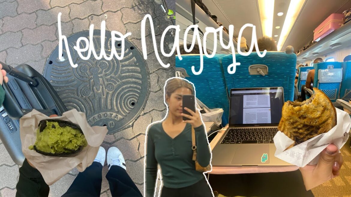 Nagoya for my first conference but all I did was eat taiyakii 🐟🍦[VLOG]