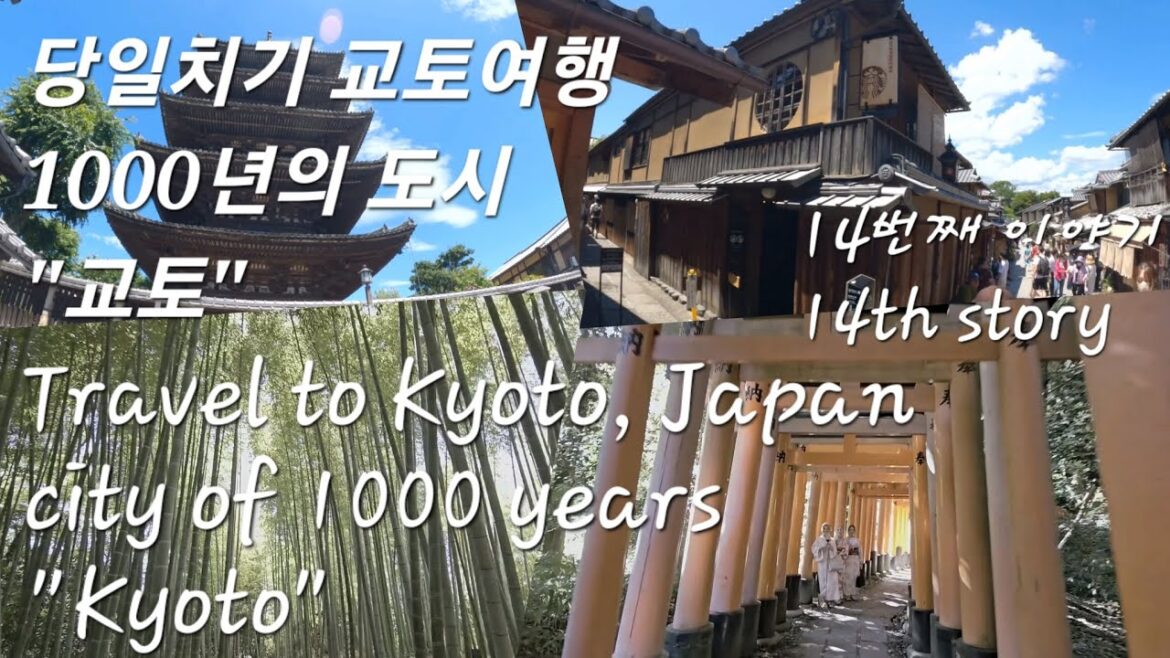🇯🇵ep94 랜선 교토여행 호칸지,교토스타벅스,고다이지,센본도리이 LAN cable travel to Kyoto, a 1000years old city #kyototravel