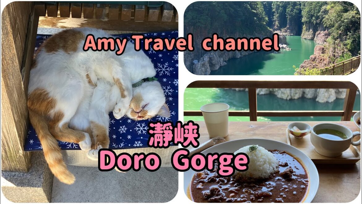 ［vlog］旅　三重、奈良、和歌山県県境に位置する秘境　瀞峡に行ってきました。綺麗な川と豊かな自然に癒される。ランチ、カフェもできる！かわいい観光大使にも会えるかも❤️