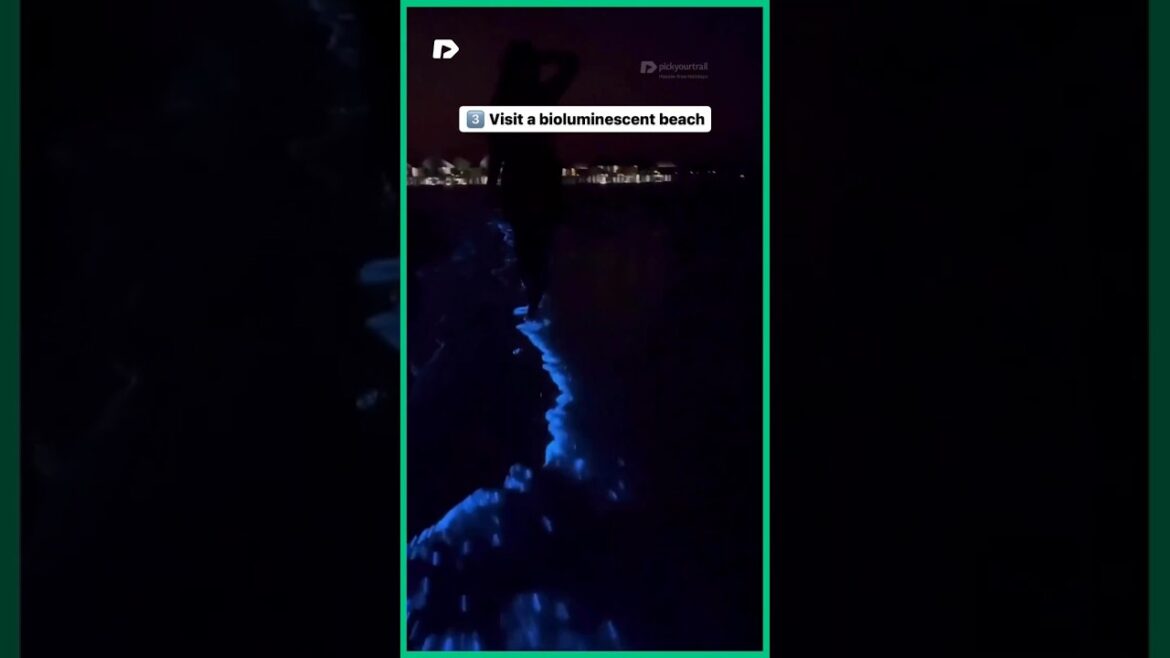 SHARE This With Your Travel Buddy! ✈️ | Travel Goals for 2023 🤩 #travel #shorts