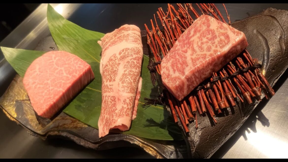 Olive Wagyu experience | Japan Travel Vlog '23