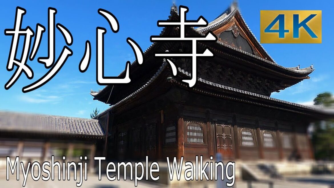 【おさんぽ】妙心寺を歩く / 日本最大の禅寺は市民憩いの場 / 京都おさんぽ  / 4K60p