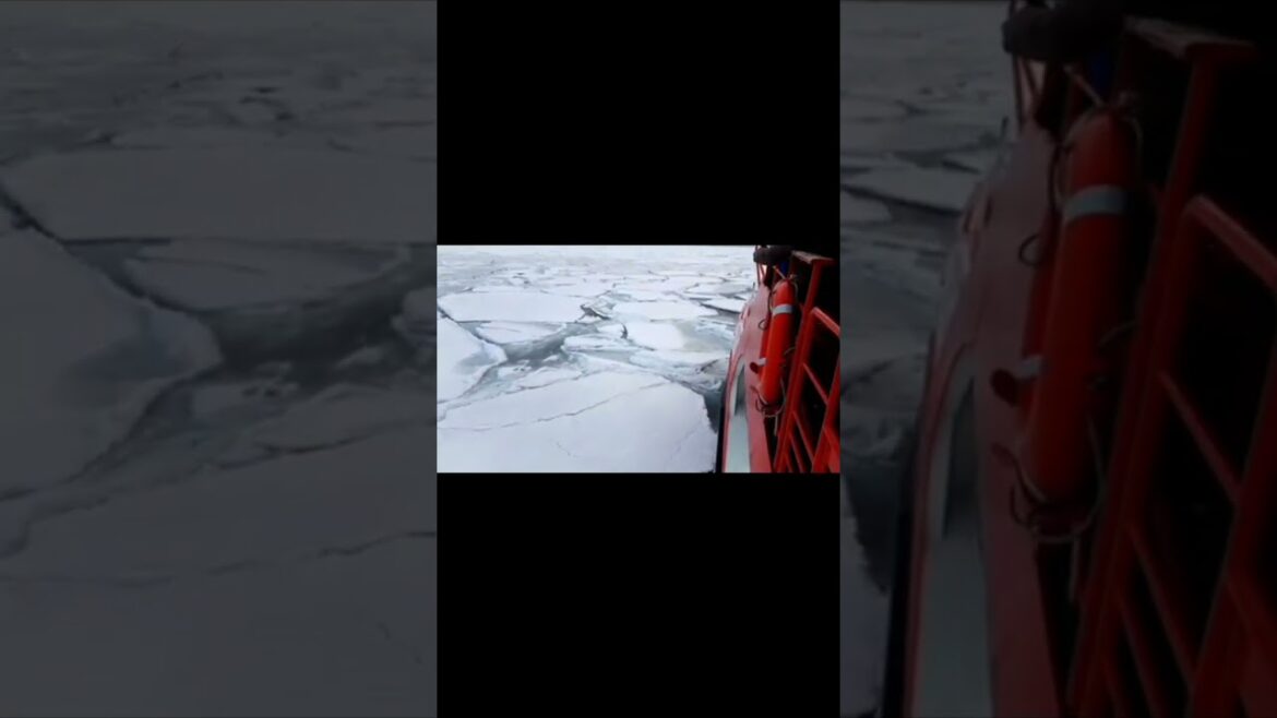 ❄️Hokkaido Drift Ice Experience || WTT || Icebreaker Ship in Japan #travel #trip