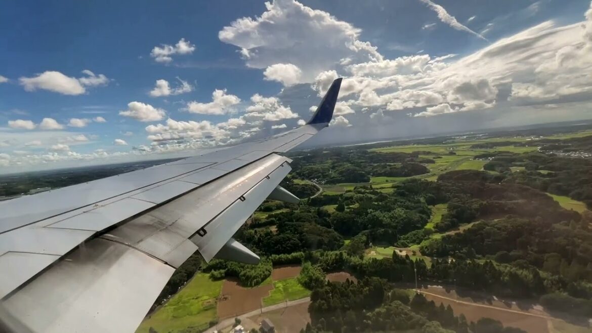 ANA Boeing 737-8AL Landing in Tokyo Narita (NRT) ANA Boeing 737-8AL Landing in Tokyo Narita (NRT)