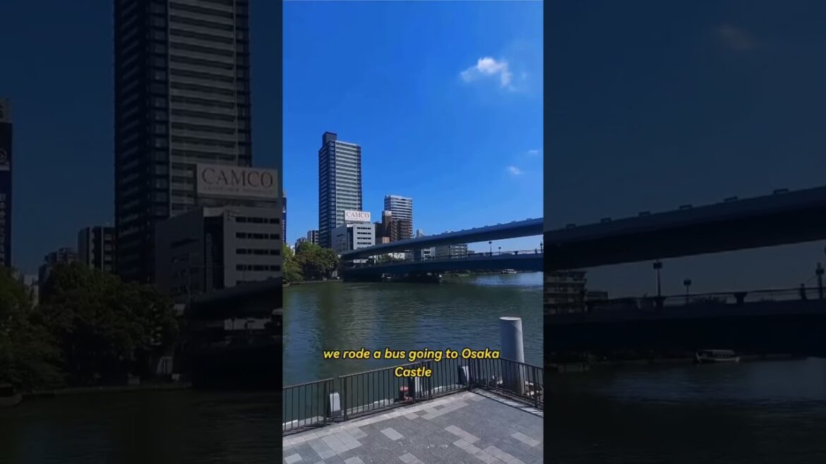 DAY 3 of 4 JAPAN VLOG | #shorts #shortvideo #shortsvlog #japanvlog #japantravelvlog