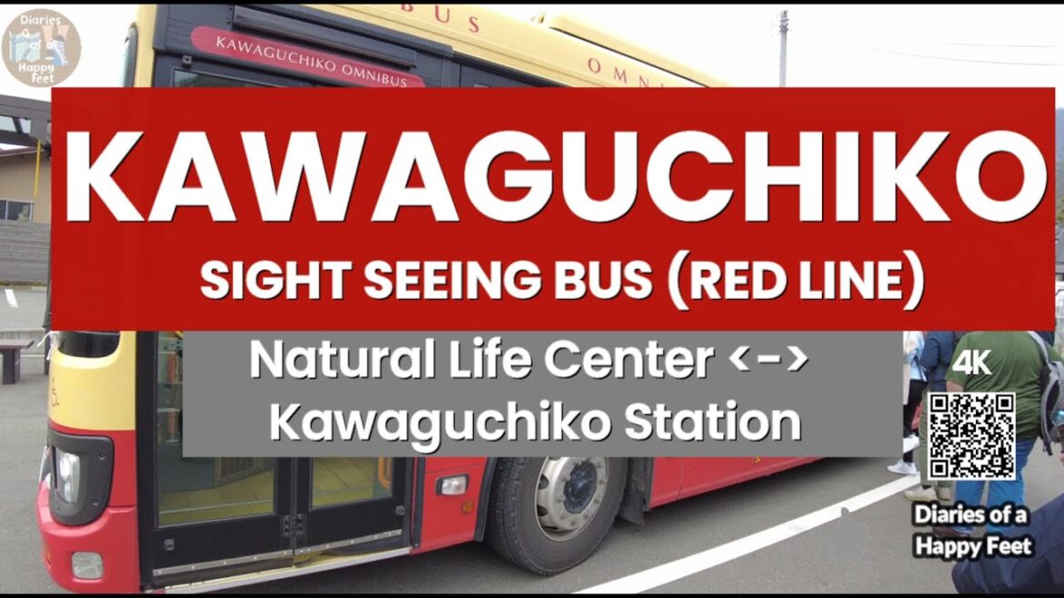 Diaries of a Happy Feet : 🚗 Sight Seeing Bus Red Line Bus Kawaguchicko Mt Fuji 河口湖 Japan 🇯🇵🗾 [4K]