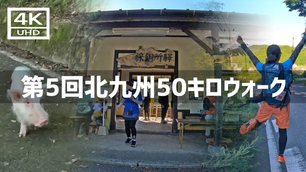 【2023年9月】第5回北九州50キロウォークに参加してみた 後篇【4K】