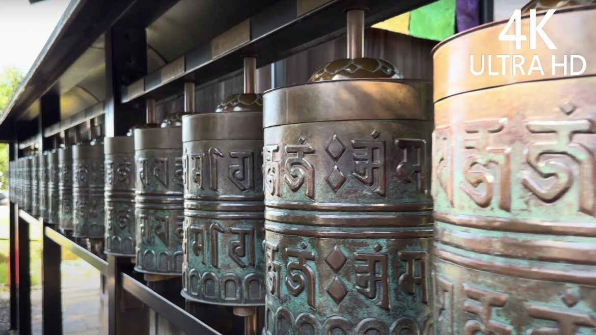 4K Walk Tour - Exploring the Enchanting Path of Masuyacho Street in Kyoto | Japan