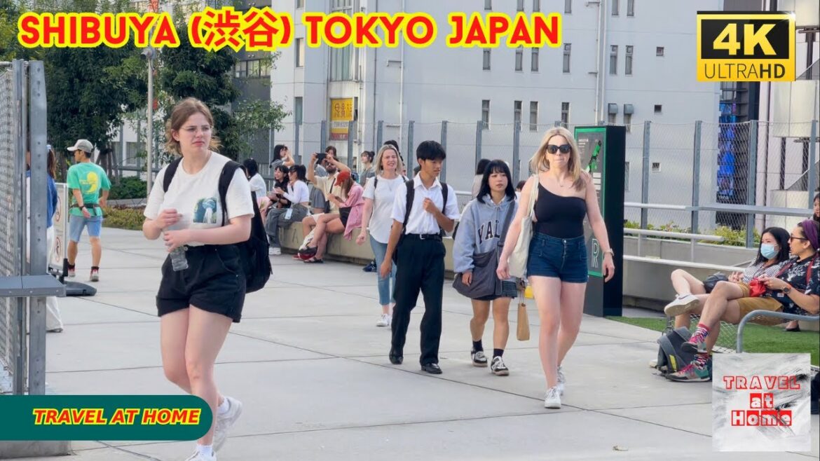 4k hdr japan travel | Walk in Shibuya (渋谷) Tokyo japan |  Relaxing Natural City ambience