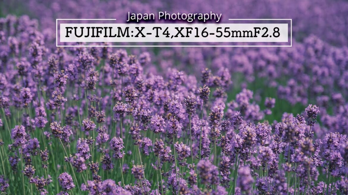 Japan Street Photography in hokkaido - Fujifilm X-T4 + XF16-55mmF2.8 R LM WR (Vol.14)