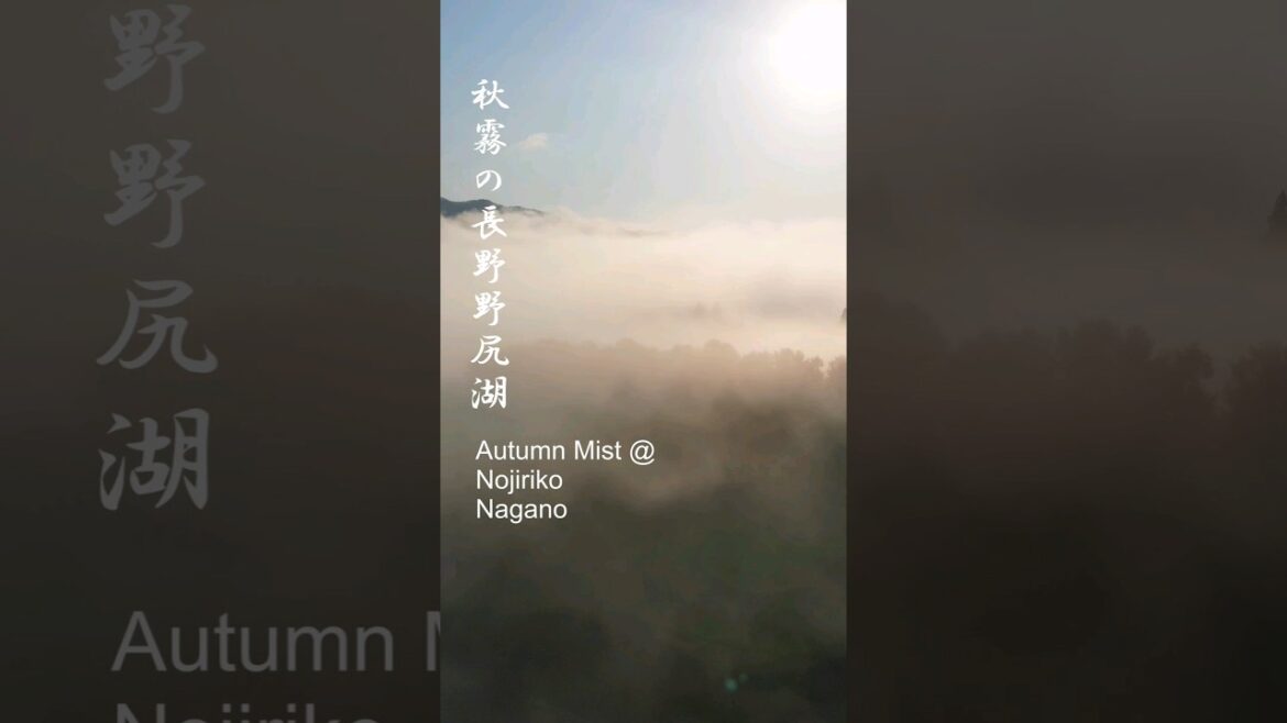 Autumn Mist @ Nagano mountain lake Autumn Mist @ Nagano mountain lake