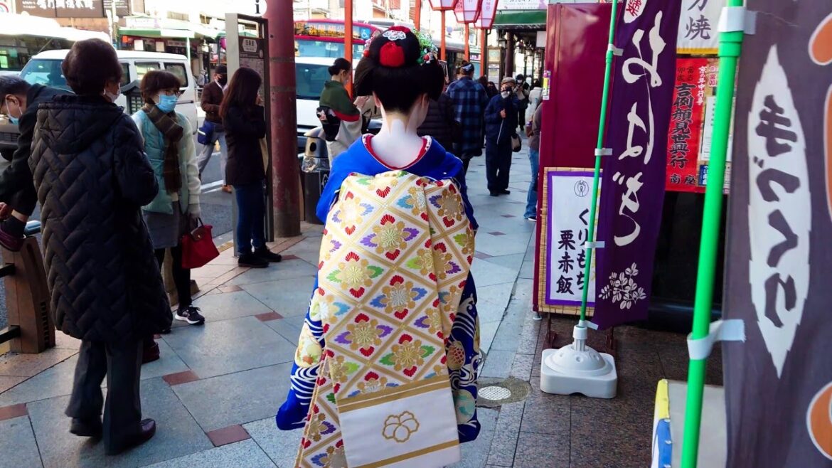Geisha Walk through the Gion district of Kyoto | Japan Travel 京都、祇園四条を歩く舞妓さん | 美しい振袖、着物と帯