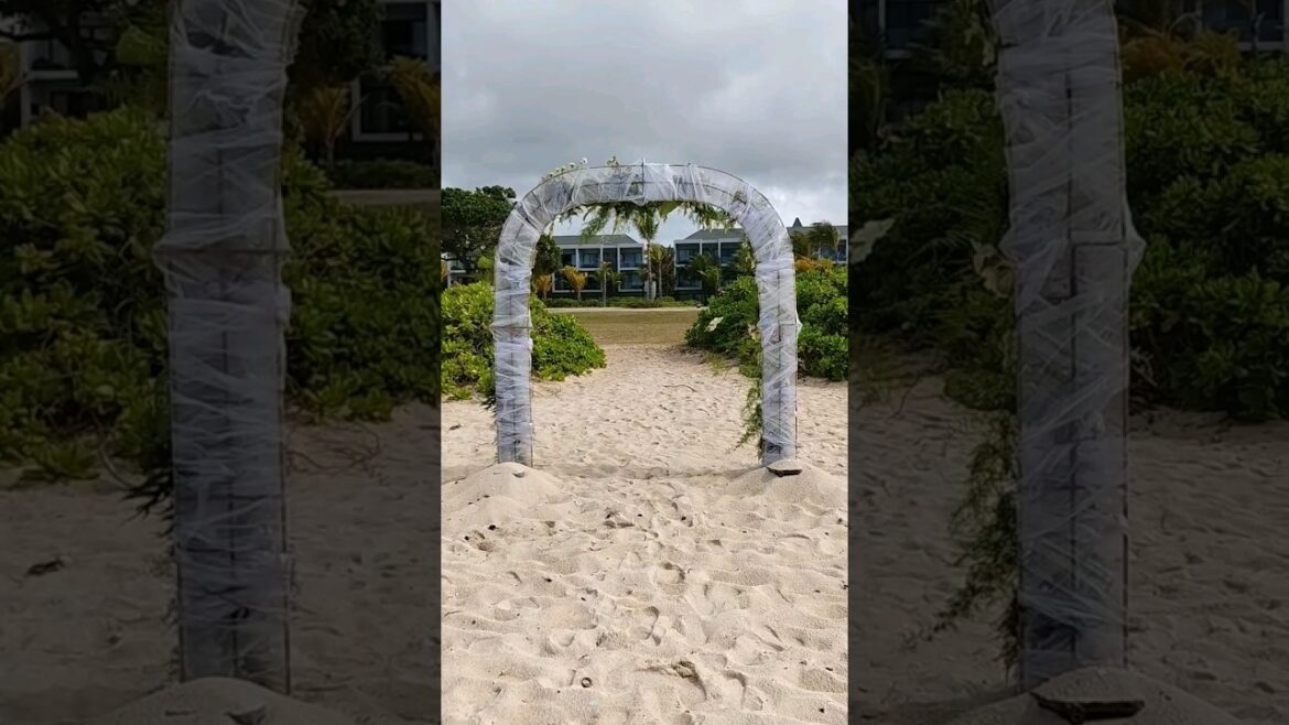 Beach walk | travel | Beach wedding | Mauritius #shorts Beach walk | travel | Beach wedding | Mauritius #shorts