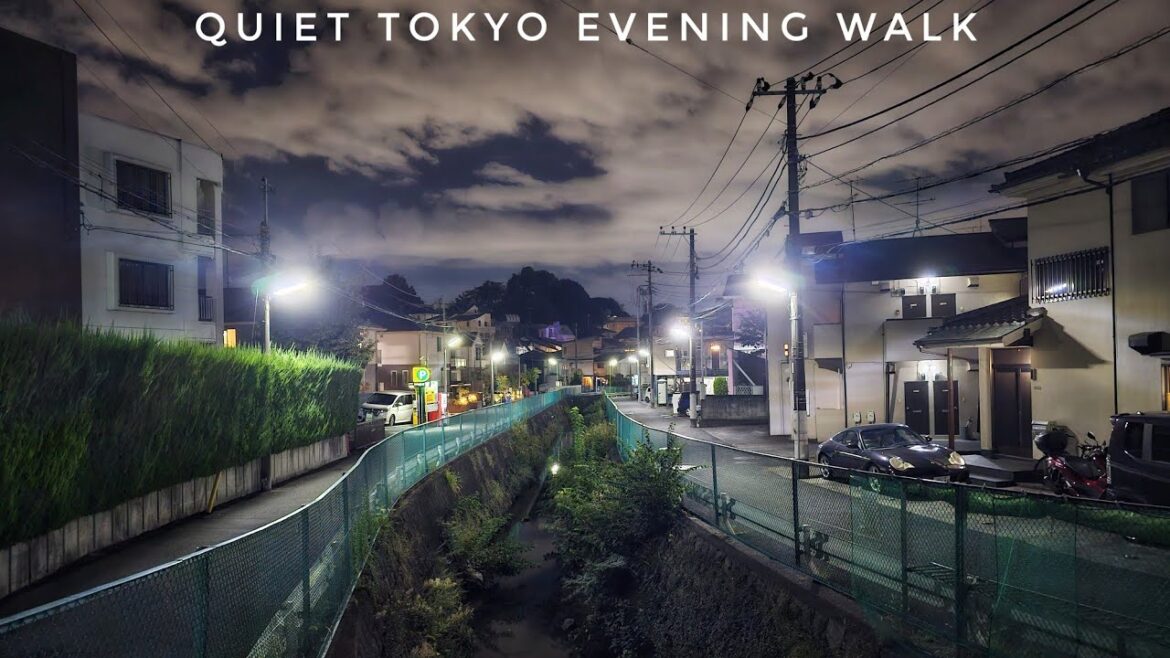 Live Tokyo Evening Walk – Quiet Streets at Night – Yoga to Futako-Tamagawa Live Tokyo Evening Walk - Quiet Streets at Night - Yoga to Futako-Tamagawa
