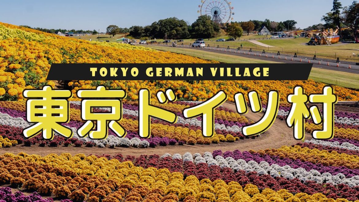 (jp/en)【休日お出かけ#07】マリーゴールドを求めて一人東京ドイツ村へ/Solo trip to Tokyo German Village (marigold season) (jp/en)【休日お出かけ#07】マリーゴールドを求めて一人東京ドイツ村へ/Solo trip to Tokyo German Village (marigold season)