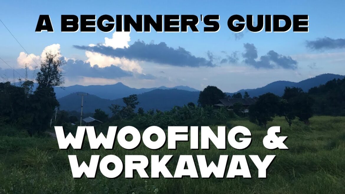 WWOOFING + WORKAWAY ADVICE | My Experiences in Hawaii, Spain and Thailand WWOOFING + WORKAWAY ADVICE | My Experiences in Hawaii, Spain and Thailand