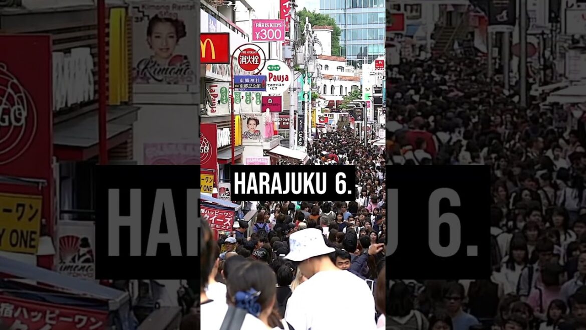 Things to do in Tokyo #travelling #tokyo #japantravelguide