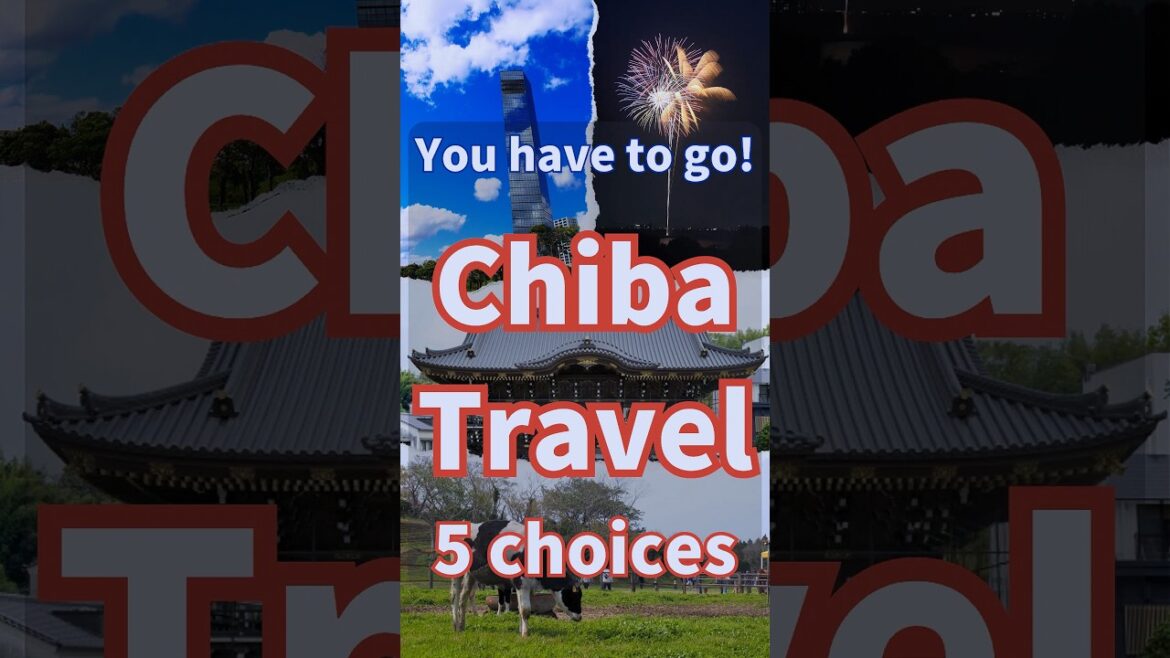 Japan Chiba Travel 5 Chiba Sightseeing 5 Recommendations #shorts #short Japan Chiba Travel 5 Chiba Sightseeing 5 Recommendations #shorts #short