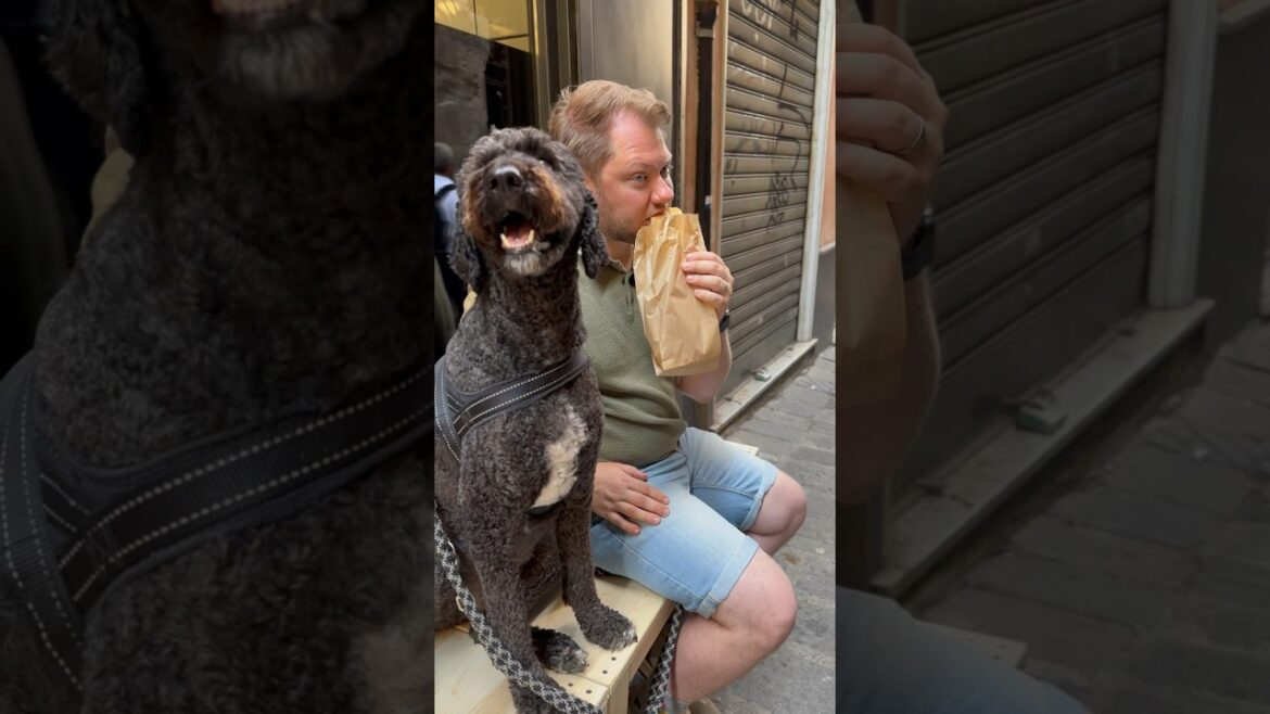 Best Foccacia in Genoa Italy 🙌 Antico Forno della Casana Best Foccacia in Genoa Italy 🙌 Antico Forno della Casana