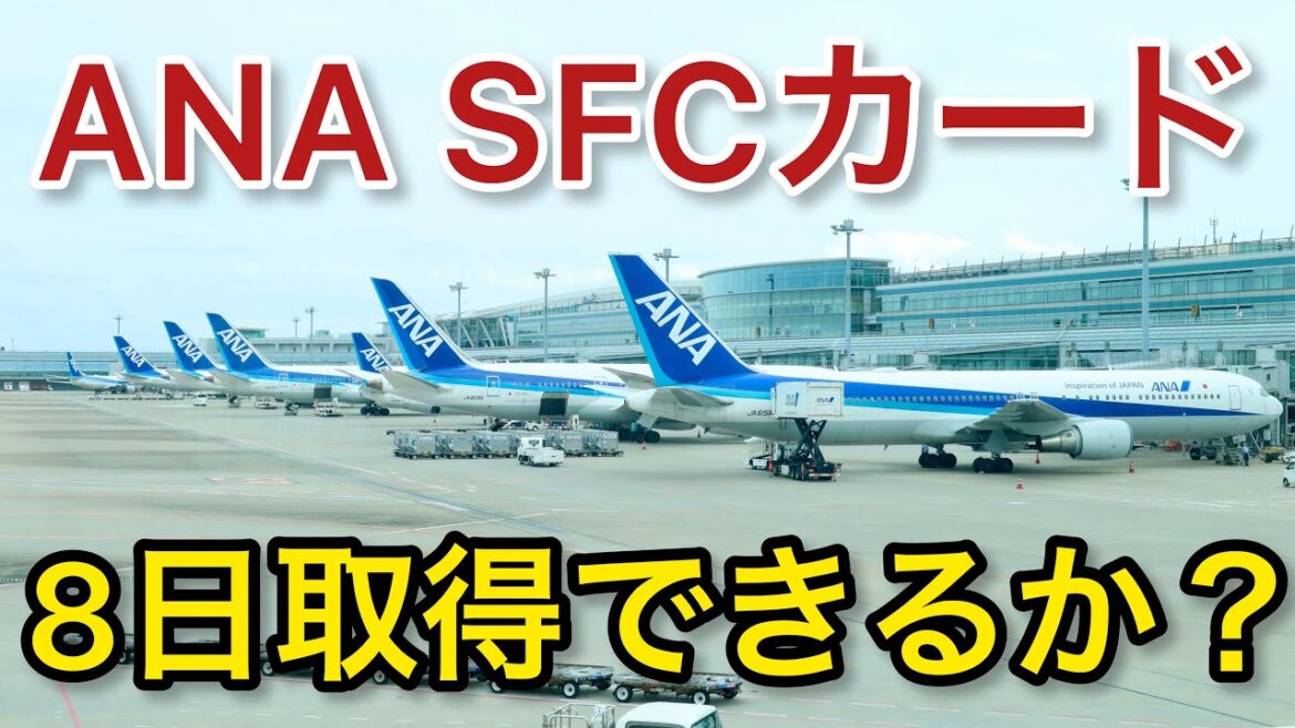 【SFC修行】無理、成功？8日で達成できるか ANA 羽田空港 旅airport