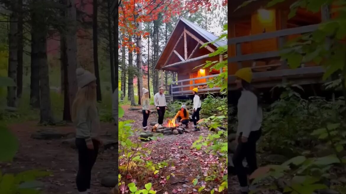 🌊🌴Exploring Unimaginable Places✨😍✈ #travel #nature #explore #adventure #vacation September 24, 2023 🌊🌴Exploring Unimaginable Places✨😍✈ #travel #nature #explore #adventure #vacation September 24, 2023