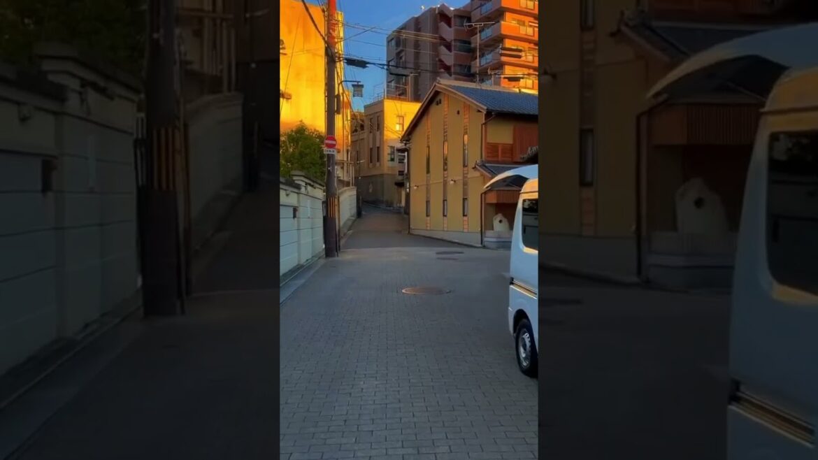 Tour to Japan #japan #shorts #travel