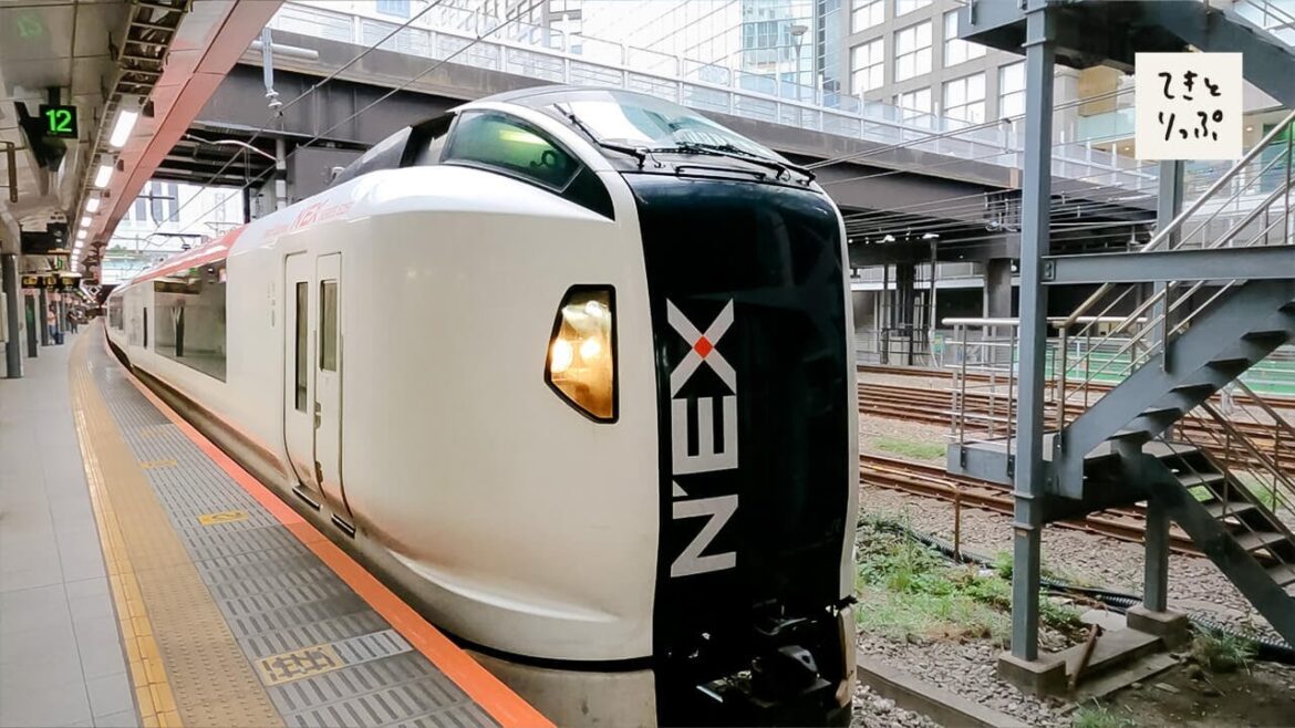 Comfortable transportation from Tokyo to Narita Airport【Narita Express】 Comfortable transportation from Tokyo to Narita Airport【Narita Express】