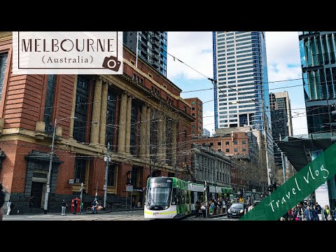 Taken with SONY α7rⅤ📸Full coverage of the attractions of a trip to Melbourne #Day1 Taken with SONY α7rⅤ📸Full coverage of the attractions of a trip to Melbourne #Day1