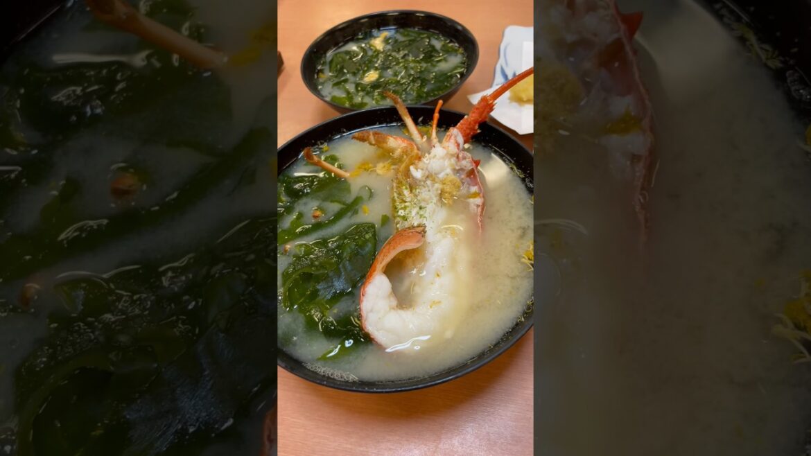 【四国グルメ】本当は教えたくない魚が新鮮でぷりっぷりっの「びんび家」。伊勢海老の味噌汁がうますぎた！！　#四国グルメ #グルメ #japanesefood