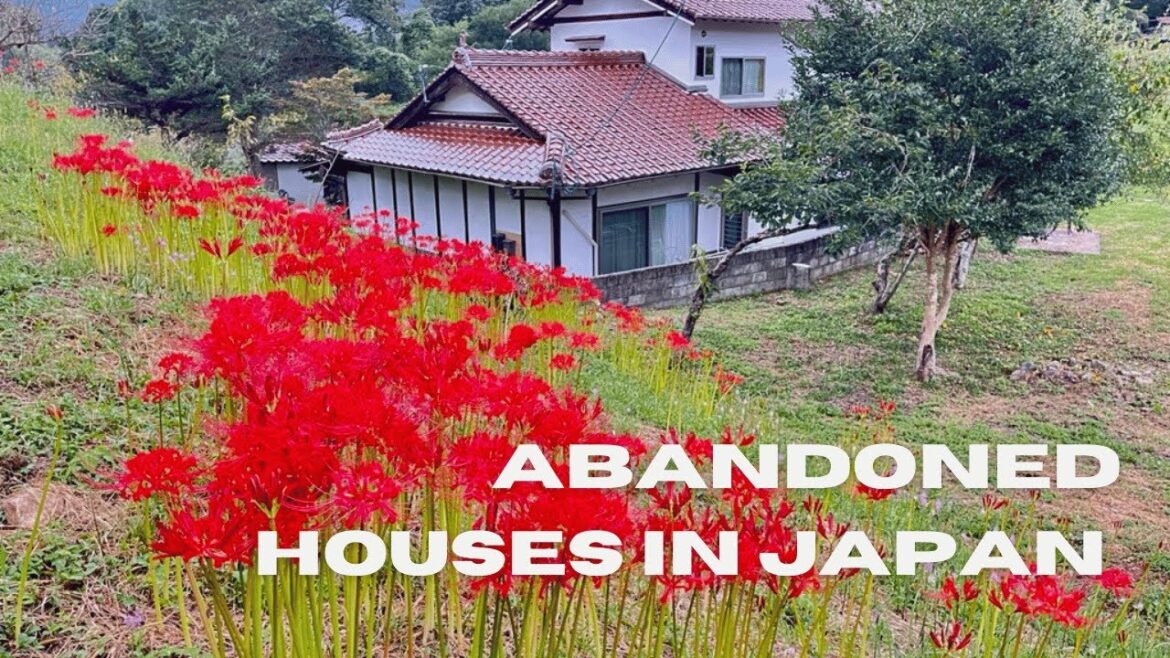 Abandoned Houses Crisis in Japan | Buy a Cheap House in Japan Abandoned Houses Crisis in Japan | Buy a Cheap House in Japan