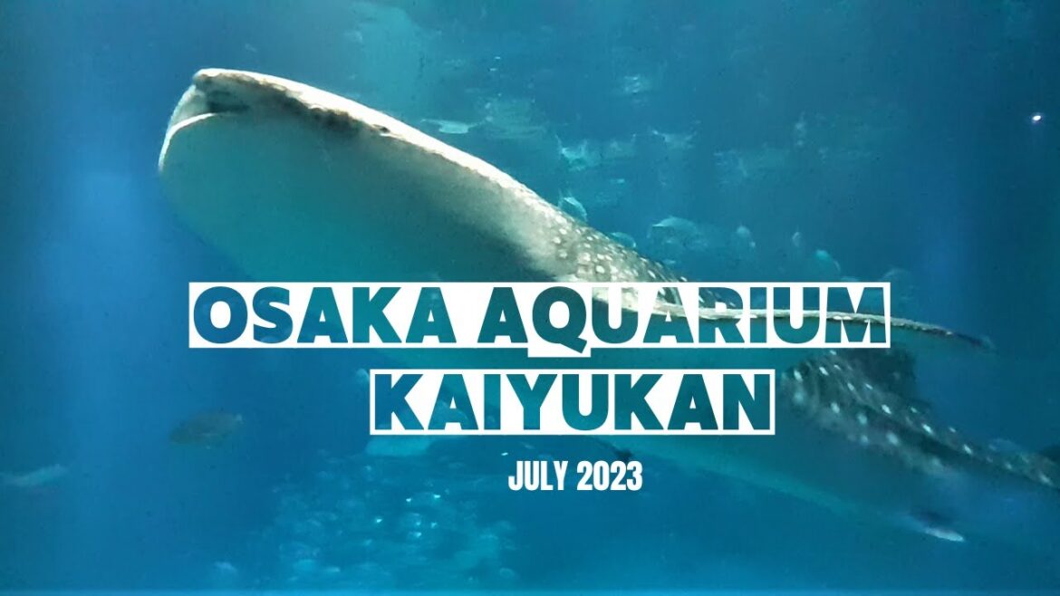 OSAKA AQUARIUM KAIYUKAN Walking Tour