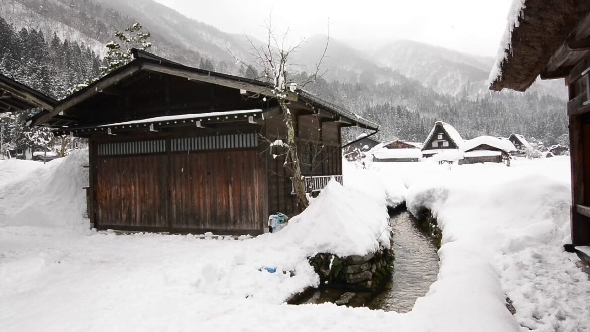 Family Trip 2017 in JAPAN